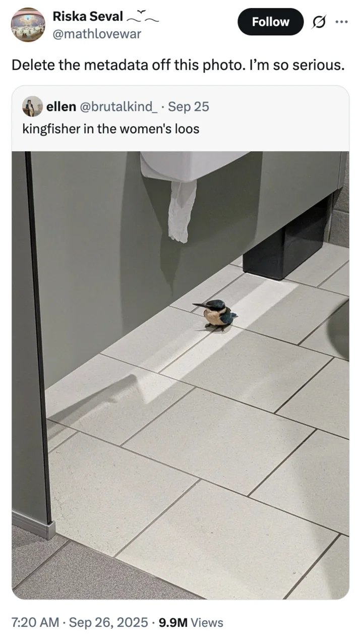Delete The Metadata Off This Photo Im So Serious — X user @mathlovewar became one of the first to parody @AlHendiify's post, writing, "Delete the metadata off