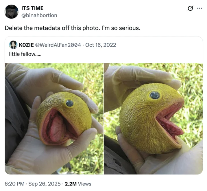 Delete The Metadata Off This Photo Im So Serious — X user @binahbortion tweeted the "Delete the metadata" copypasta in response to a photo of a hyperrealistic