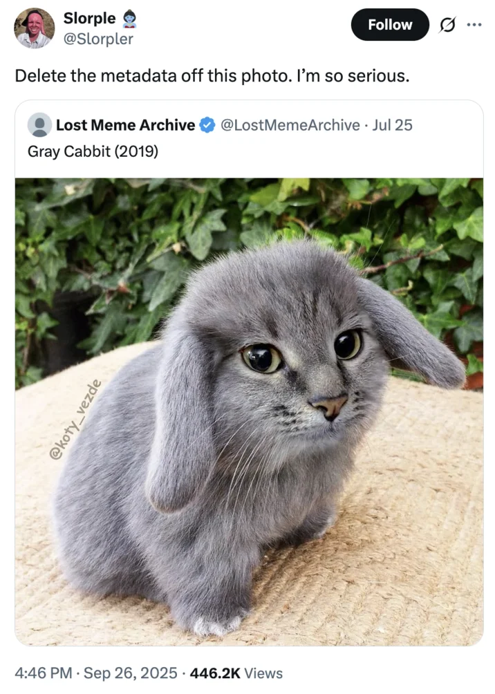 Delete The Metadata Off This Photo Im So Serious — X user @Slorpler tweeted the "Delete the metadata" copypasta in response to a photo of the "Gray
