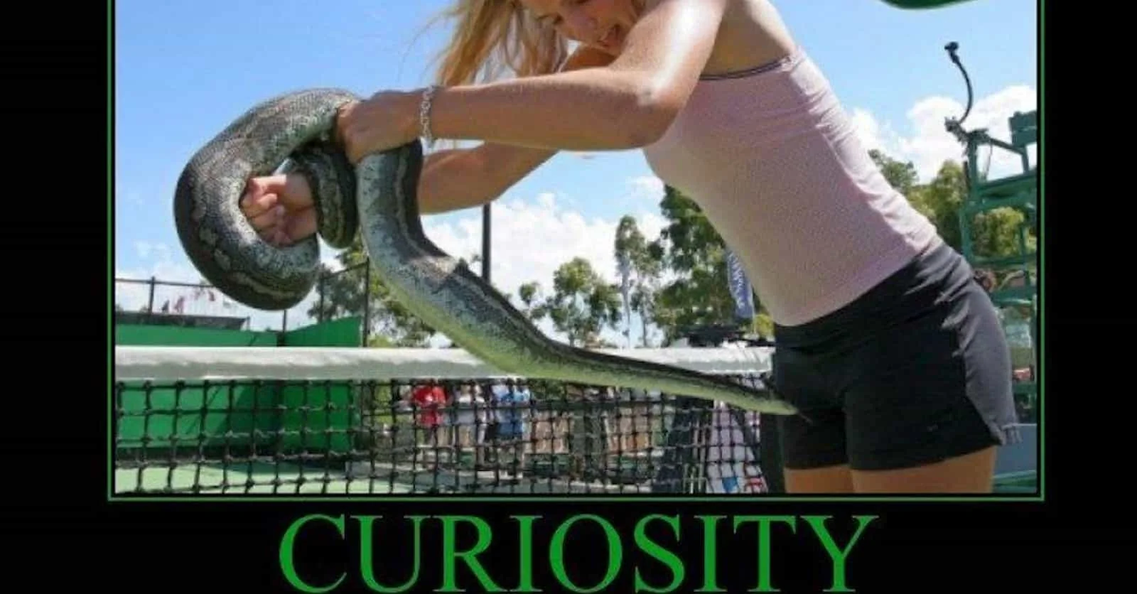 Demotivational Posters — Woman with snake at tennis court titled 'CURIOSITY' in green text.