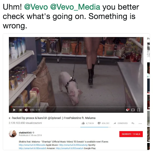 Tweet warning Vevo about a hacked Shakira video with an altered title from the same group that hit Despacito