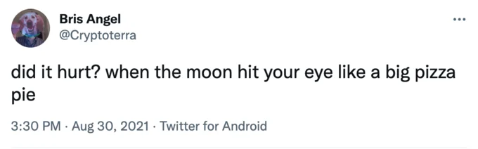 Did It Hurt When You Fell From Heaven — Twitter post from @Cryptoterra with snowclone about moon hitting eye like pizza pie Dean Martin lyric.