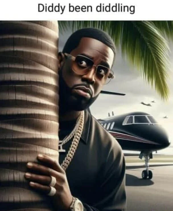 Diddy Memes — AI illustration of Diddy in sunglasses and chain with private plane, captioned Diddy been diddling