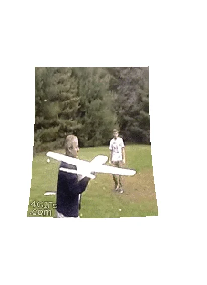 Digital Image Stabilization — Stabilized clip of an American woodcock bobbing as it walks on pavement