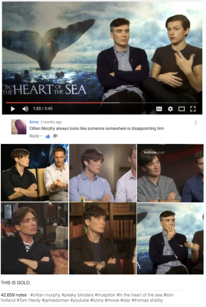 Disappointed Cillian Murphy — Tumblr post compilation of Cillian Murphy appearing disappointed across multiple interview screenshots with the caption 'THIS IS