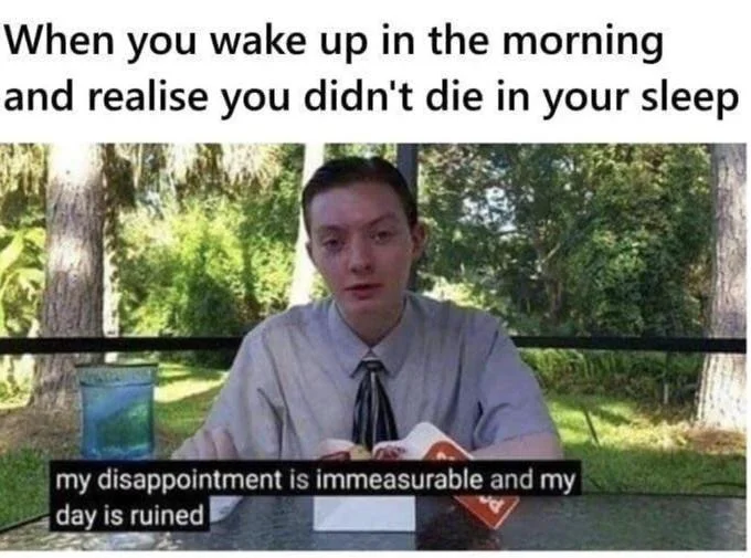 My Disappointment Is Immeasurable — Two-panel meme about waking up with the disappointed reaction image below