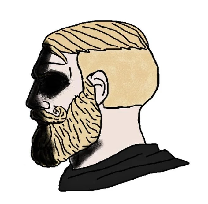 Do Men Even Have Feelings — A profile illustration of the bearded male soyjak character, a core visual element representing the emotional male half of the meme.