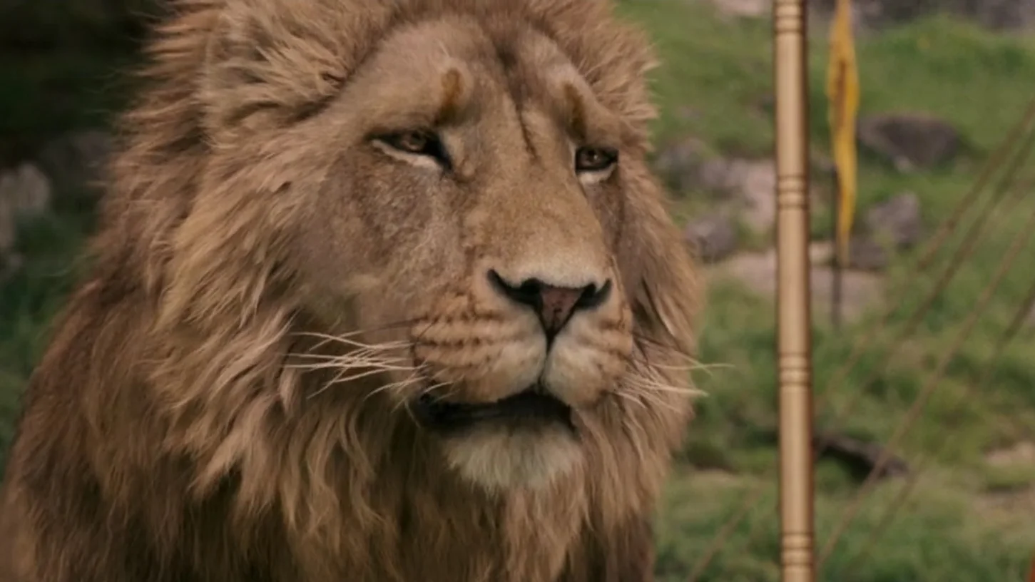 Do Not Cite The Deep Magic To Me Witch — Close-up of Aslan the lion from Chronicles of Narnia with a serious expression