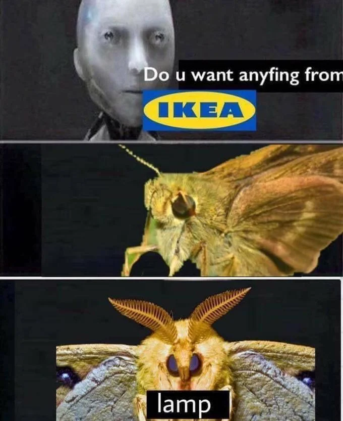 Do U Want Anyfing From Macdondald Borgar — Macdondald format remix with IKEA logo and moth answering 'lamp'