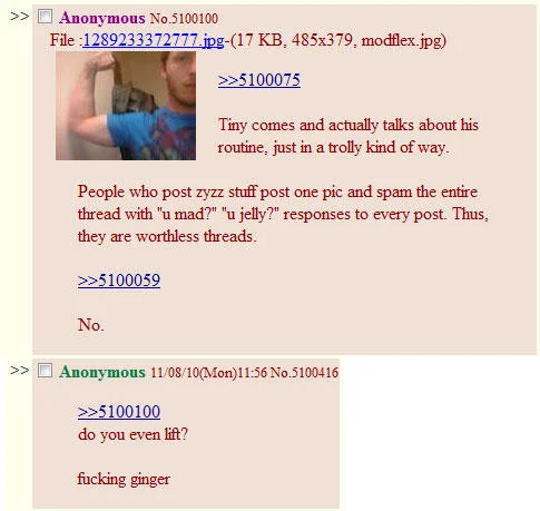 4chan thread screenshot with reply asking 'do you even lift?'