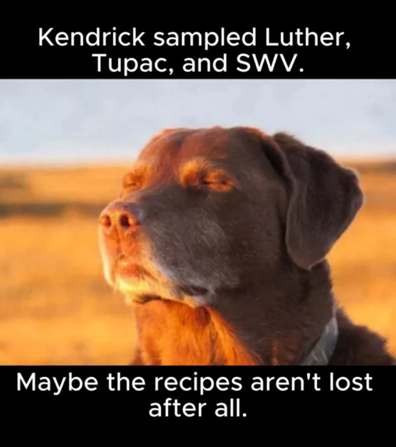 Dog Closing His Eyes Halfway — Dog image with text about Kendrick sampling Luther and Tupac, implying hopeful realization about musical heritage.