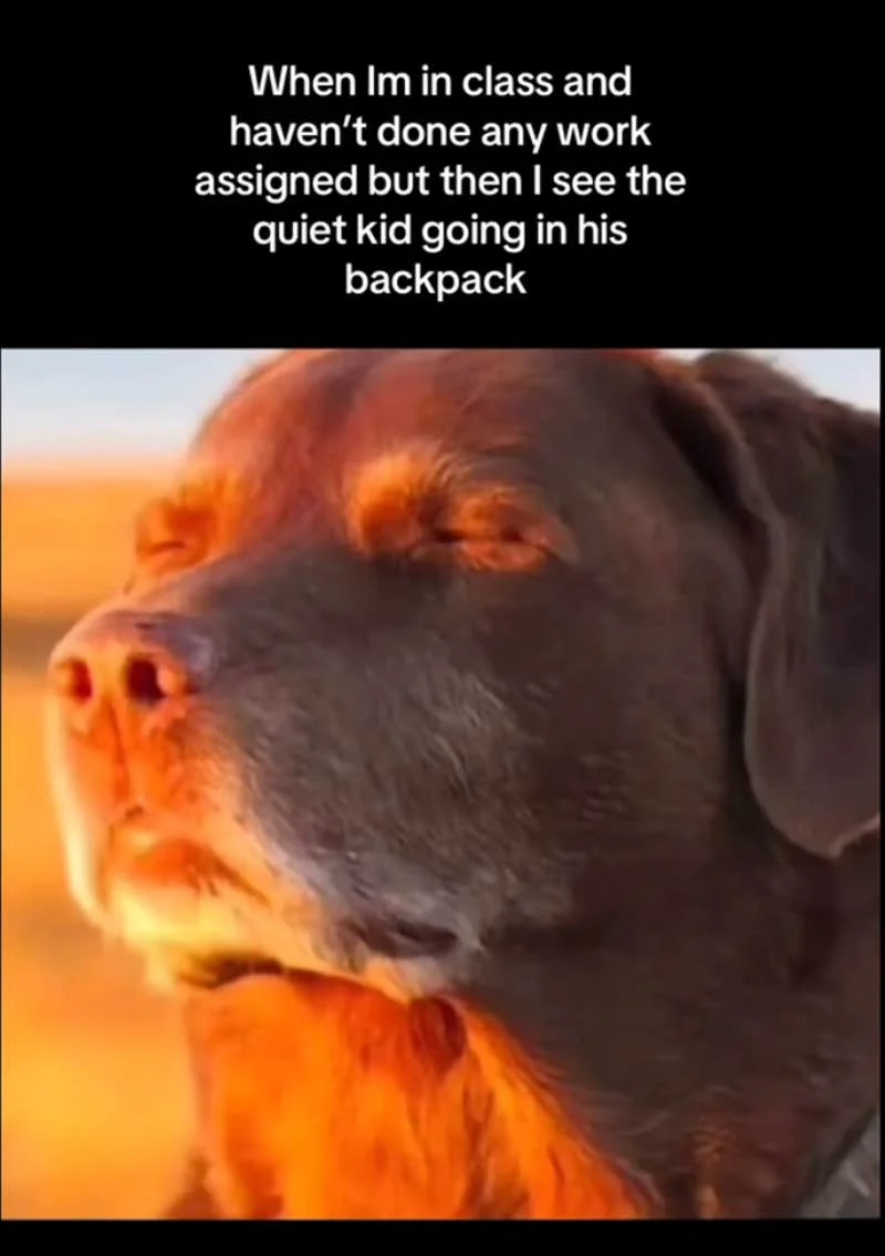 Dog Closing His Eyes Halfway — Dog image with dark humor text about classroom quiet kid reaching into backpack, creating ominous contrast.