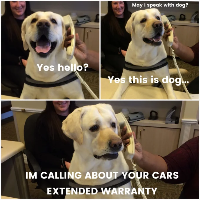 Dog On The Phone — Dog on phone meme about car extended warranty call