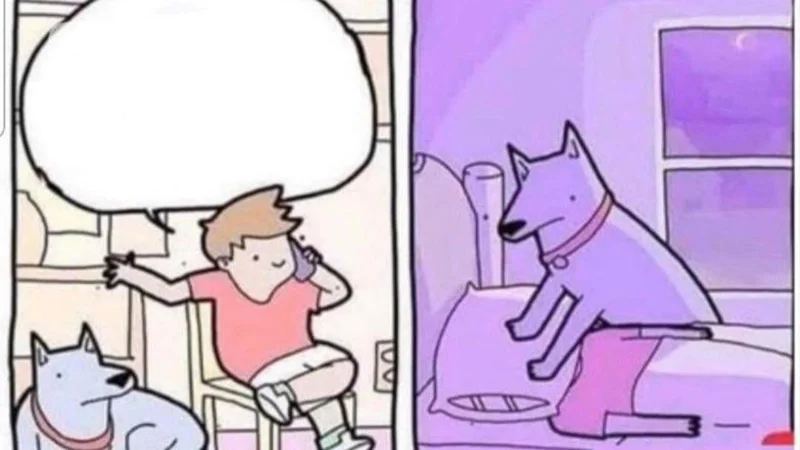 Dog Smothering Owner — Two-panel banner of a man on the phone with a dog, then the same dog smothering him with a pillow at night.