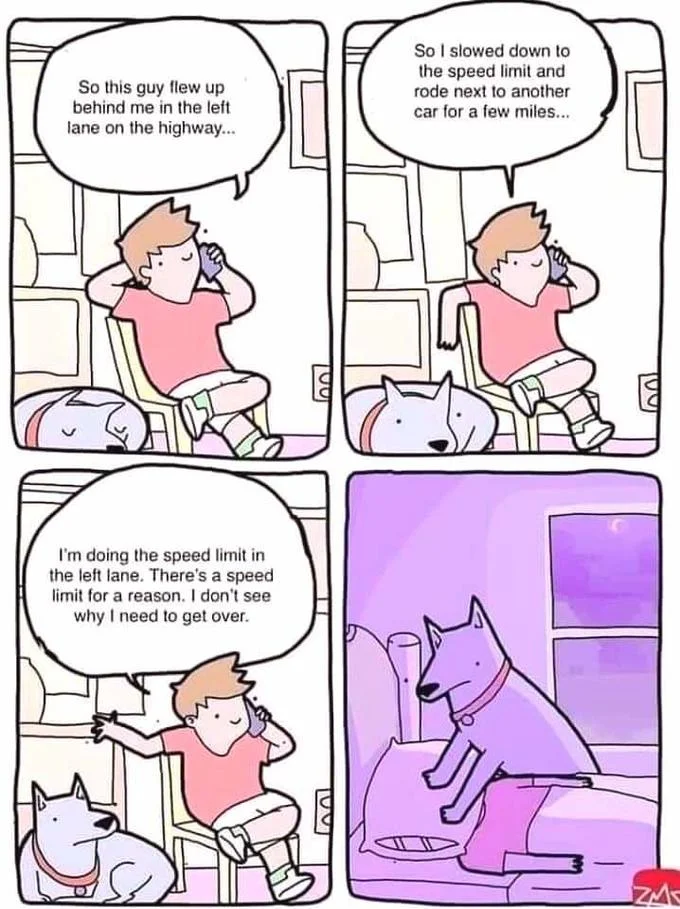 Dog Smothering Owner — Edited meme in which the man brags about blocking the left lane on the highway while on the phone, then is smothered by his dog.