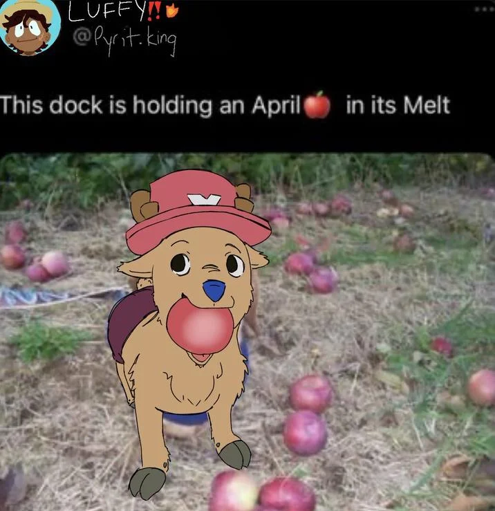 Dog With Apple Apple Dog — One Piece character Chopper edited into dog with apple meme holding apple