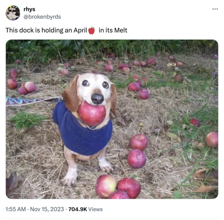 Dog With Apple Apple Dog — Twitter screenshot showing original dog with apple meme post