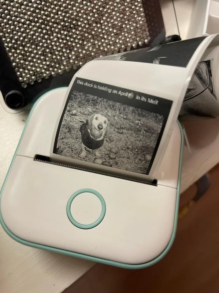 Dog With Apple Apple Dog — Thermal printer printing grayscale dog with apple meme on receipt paper
