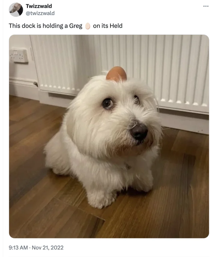 Dog With Apple Apple Dog — Twitter screenshot of white Westie dog parody using the dock holding meme format