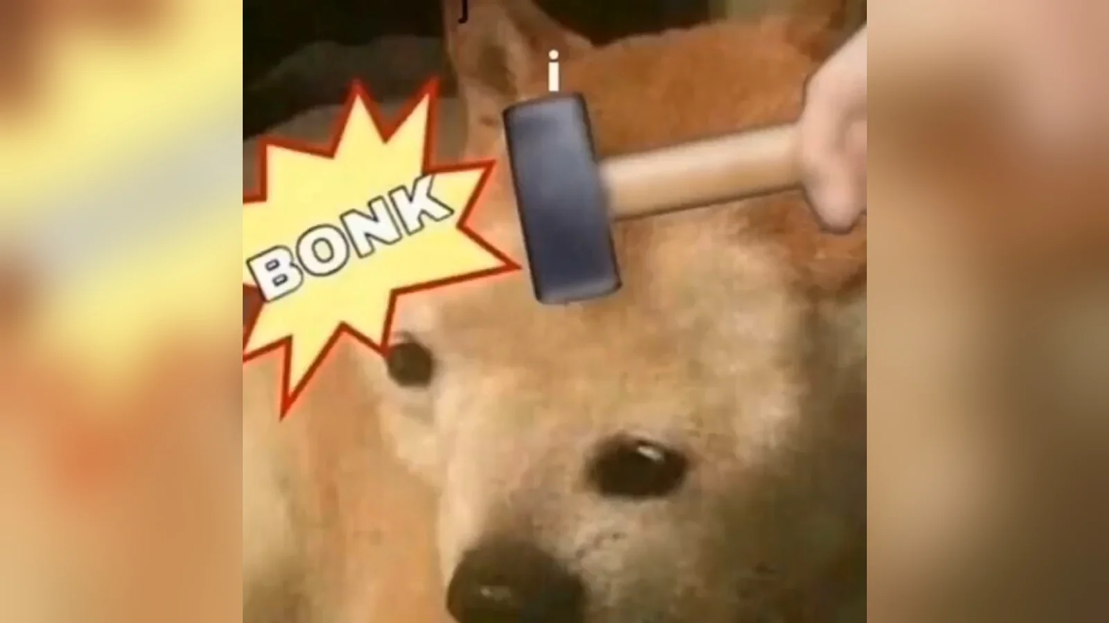 Doge Bonk — A real Shiba Inu dog is struck on the head with a baseball bat, with a comic-style yellow starburst 'BONK' effect.
