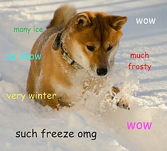 Doge — A Shiba Inu runs through deep snow with colorful Comic Sans captions scattered around expressing broken English commentary.