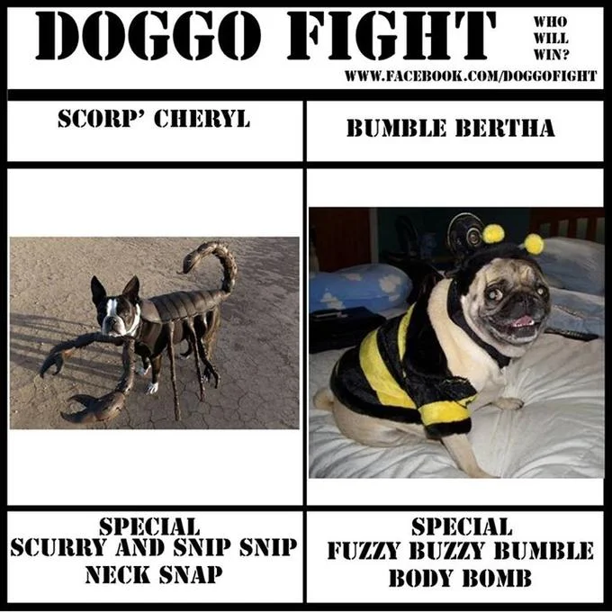 A championship-style bracket featuring four dogs with creatively named entries using playful Doggo Speak conventions.