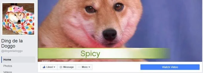 Doggo Speak — A Facebook post featuring 'Ding de la Doggo' with a tan Shiba Inu-type dog and social media interface elements.