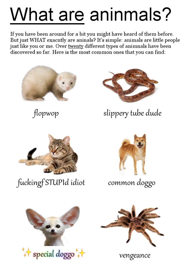 Doggo — 'What are aninmals?' meme labeling ferret, snake, cat, Shiba, fennec, and tarantula