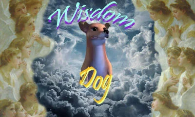 Dogs of Wisdom — Animated dog on clouds with neon Wisdom Dog text and cloud background