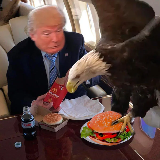 Donald Trump's McDonald's Meal — Photoshop edit of Trump on his plane with a bald eagle grabbing a burger