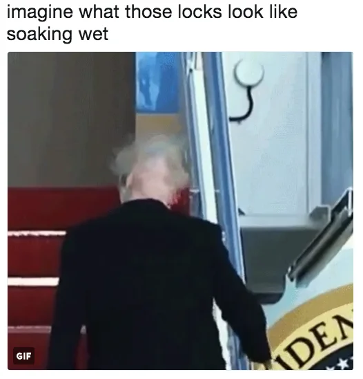 Donald Trumps Hair — Trump boarding Air Force One from behind with messy windswept hair, meme caption above