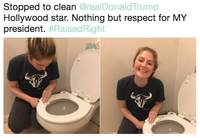 Donald Trumps Hollywood Star — A social media post with caption about cleaning Trump's star paired with ironic images of someone cleaning a toilet.