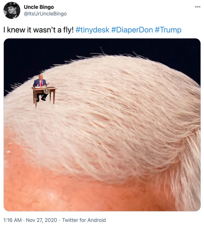 Donald Trumps Tiny Desk — Twitter screenshot with photoshopped Trump as a miniature figure on a bald scalp, merging tiny desk with the fly incident.