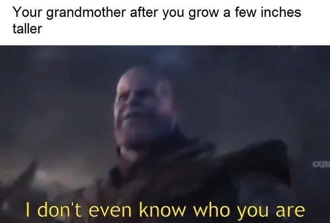 I Don't Even Know Who You Are — Crossover meme blending Phineas and Ferb Perry reference with Thanos dismissal image.