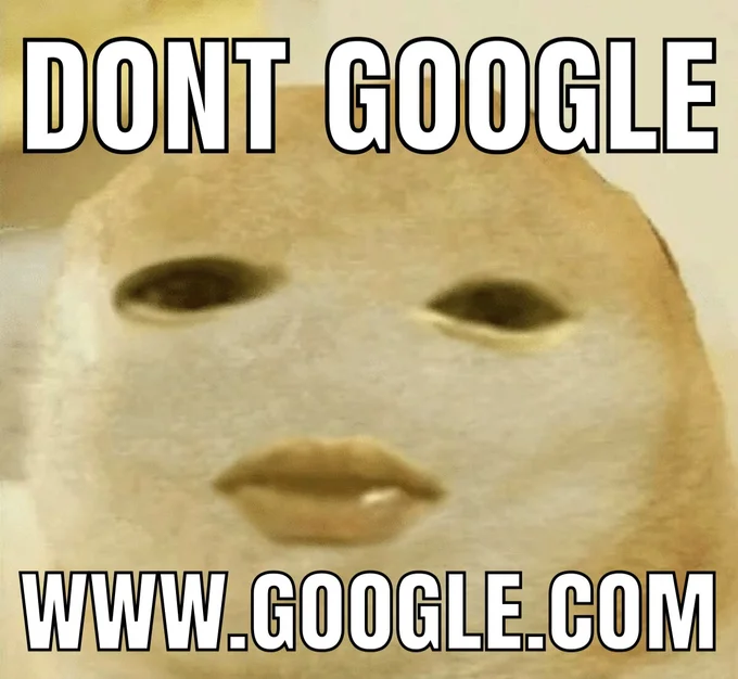 Dont Google — Distorted face meme captioned 'don't Google www.google.com'