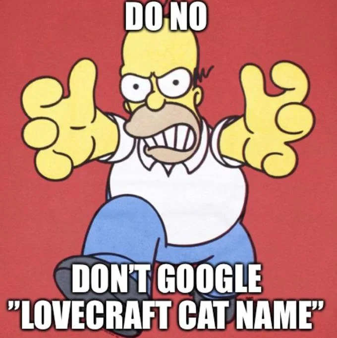 Dont Google — Homer Simpson meme warning not to Google Lovecraft's cat's name