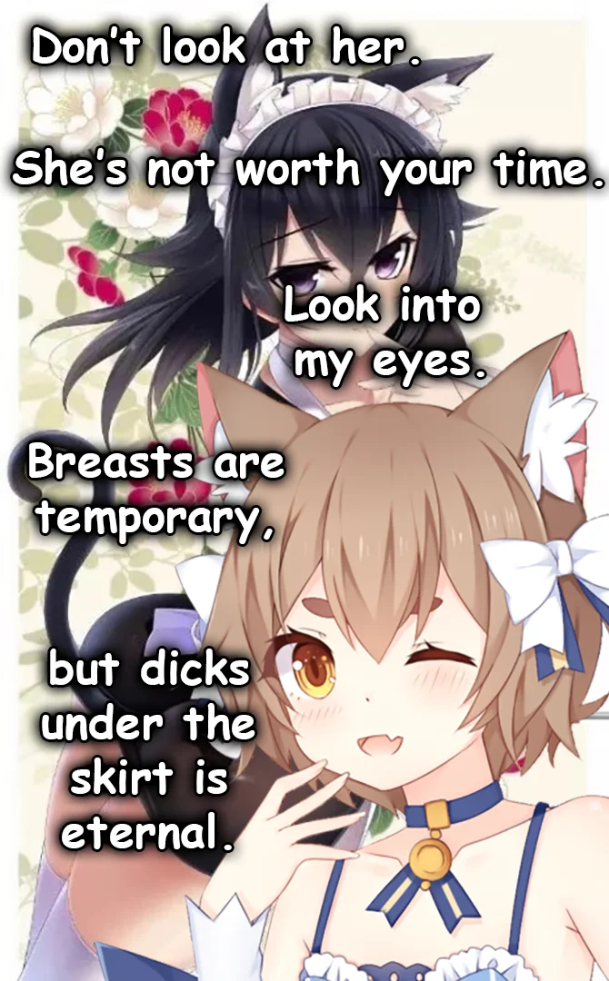 Don't Look At Her — Anime cat-girl maids with a 'dicks under the skirt is eternal' meme punchline