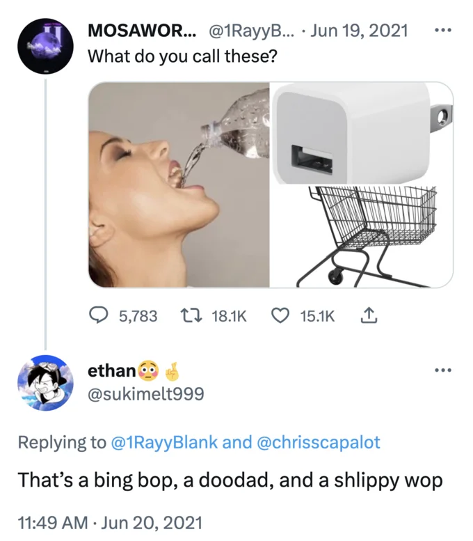 Doodad, Thingamajig, Thingamabob, Whatchamacallit, Doohickey — Twitter screenshot of a 'what do you call these?' post with ethan replying 'That's a bing bop, a