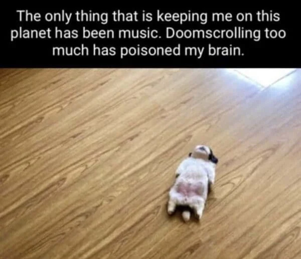 Small white animal on wooden floor with text about music and doomscrolling affecting mental state.