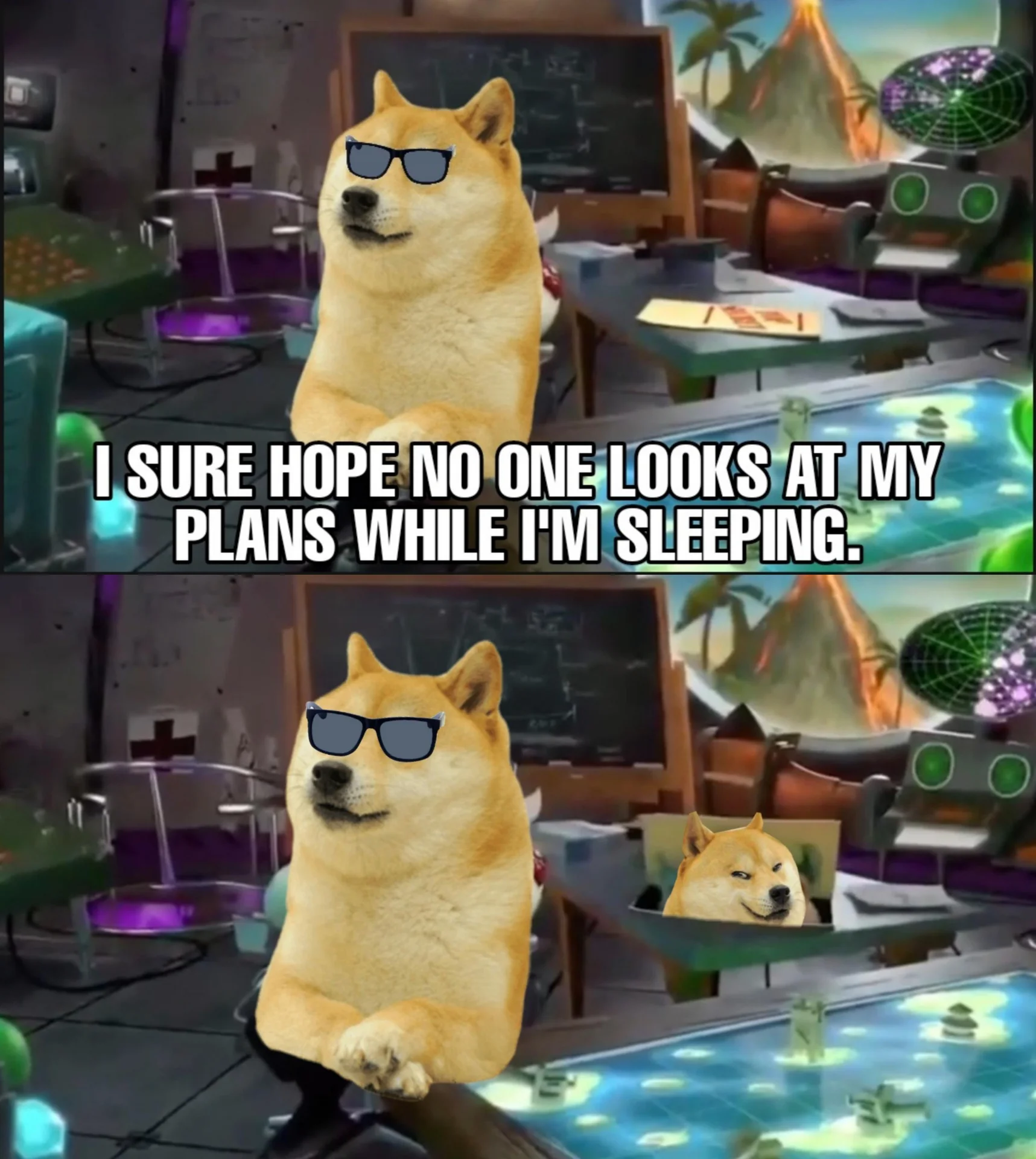 Dr. T's "I Hope No One Looks at My Plans While I'm Sleeping" — Two-panel Doge meme with Cheems and Doge replacing Dr. Nefario, captioned about plans while