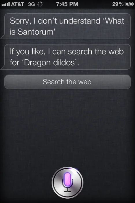 Siri screenshot offering to search the web for Dragon dildos