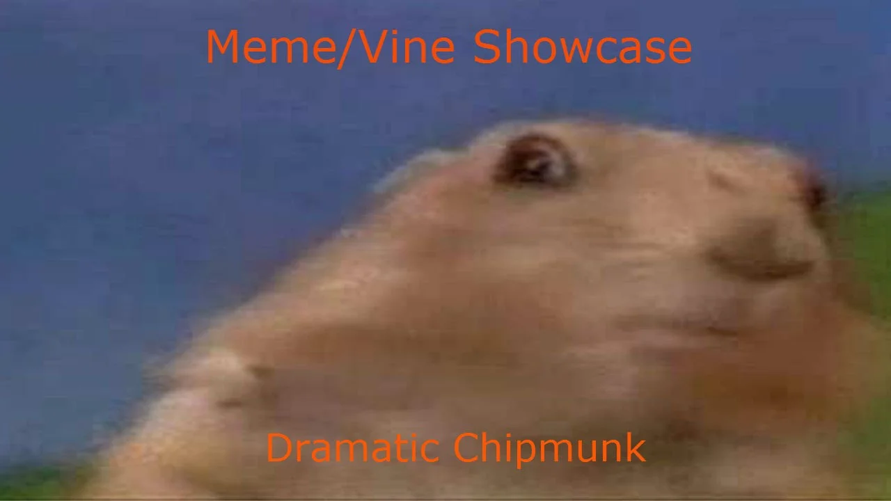Dramatic Chipmunk labeled for meme and vine showcase database