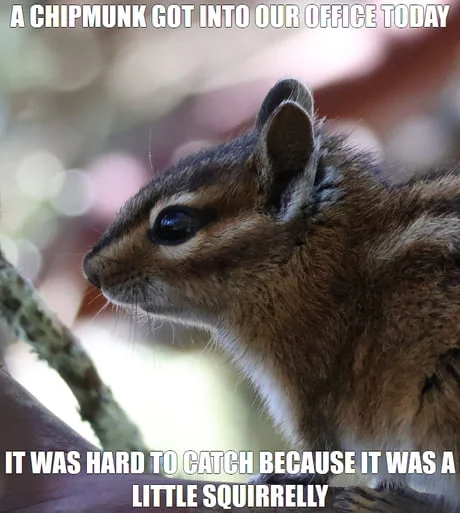 Dramatic Chipmunk — Chipmunk meme about catching an office intruder with humorous text captions