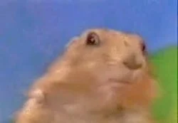 Iconic Dramatic Chipmunk with signature expression - core meme template