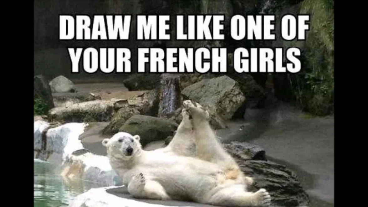 Polar bear reclining on rock with 'Draw me like one of your French girls' caption