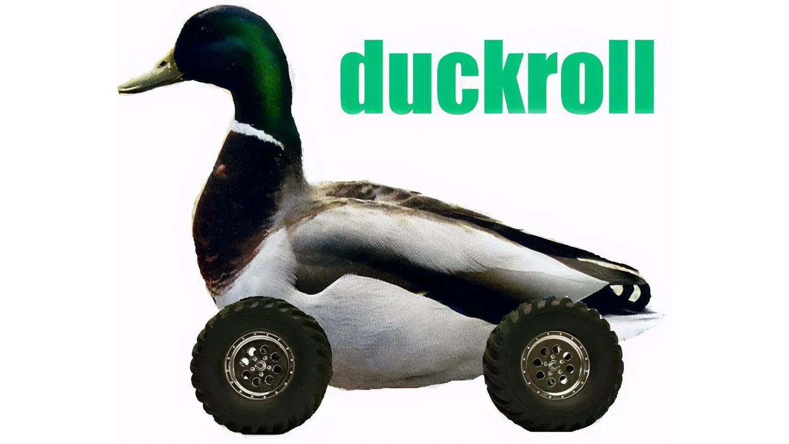 Definitive duckroll image of duck with large car wheels labeled in bold bright green text.