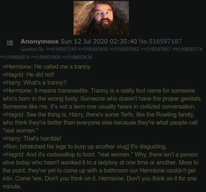 Dumbledore Posting — 4chan screenshot with Hagrid image and greentext parody about transgender identity and Rowling.