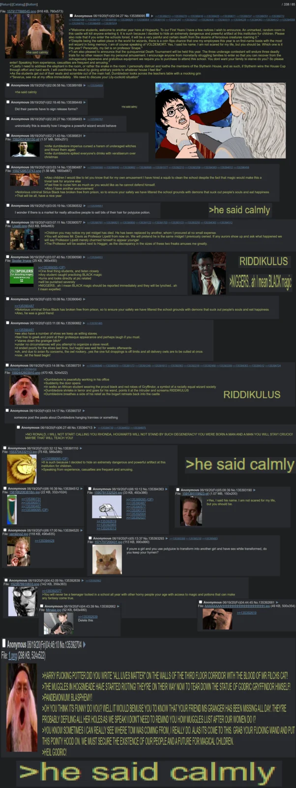 Dumbledore Posting — Tall 4chan thread collage centered on 'he said calmly' format from Goblet of Fire.