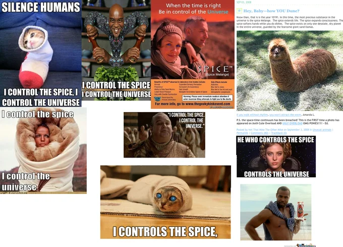 Collage of Dune 'I control the spice' memes featuring cats, llamas, and film characters