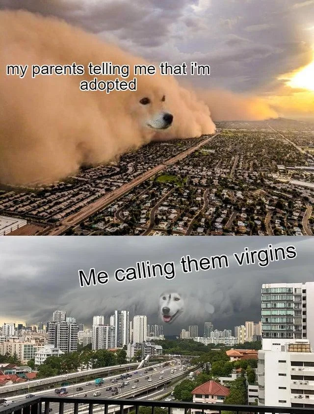 Dust Storm Dog — Multi-panel meme about adoption disclosure with child's absurdist virgin response.